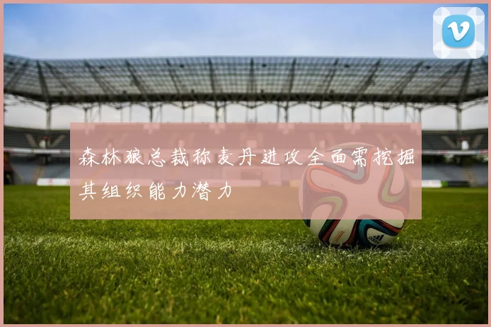 森林狼总裁称麦丹进攻全面需挖掘其组织能力潜力